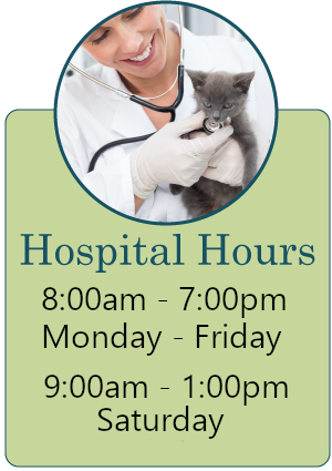 Hours infographic